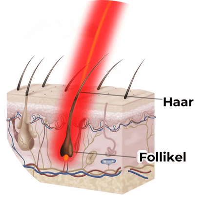 RejuvaCap™ Rood Licht Therapie Cap